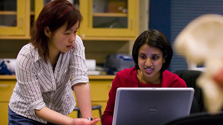 Simulateur de phishing